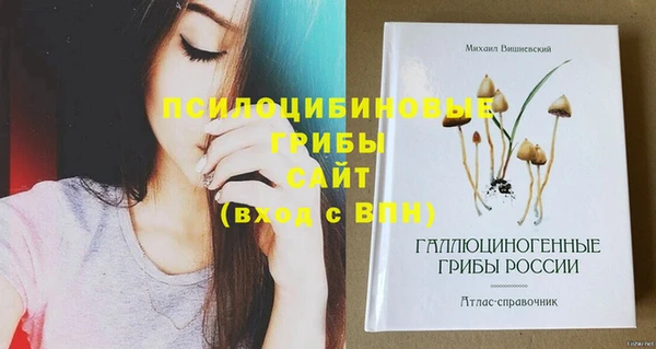 соль ск Заволжск