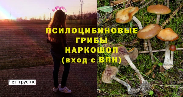 тгк Заволжье